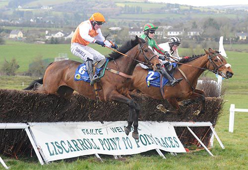 The final fence at Liscarroll point to point