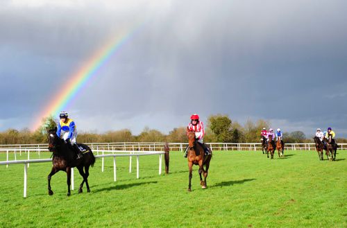                        Fairyhouse