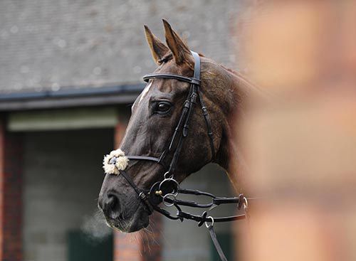 The great Denman