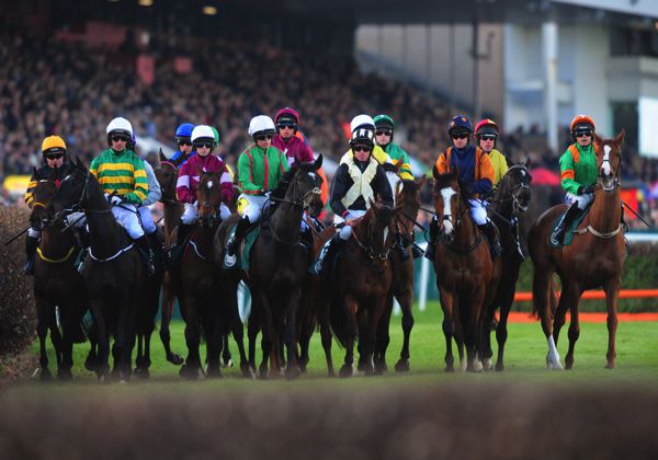 Runners lining up for the Land Rover Bumper at Punchestown