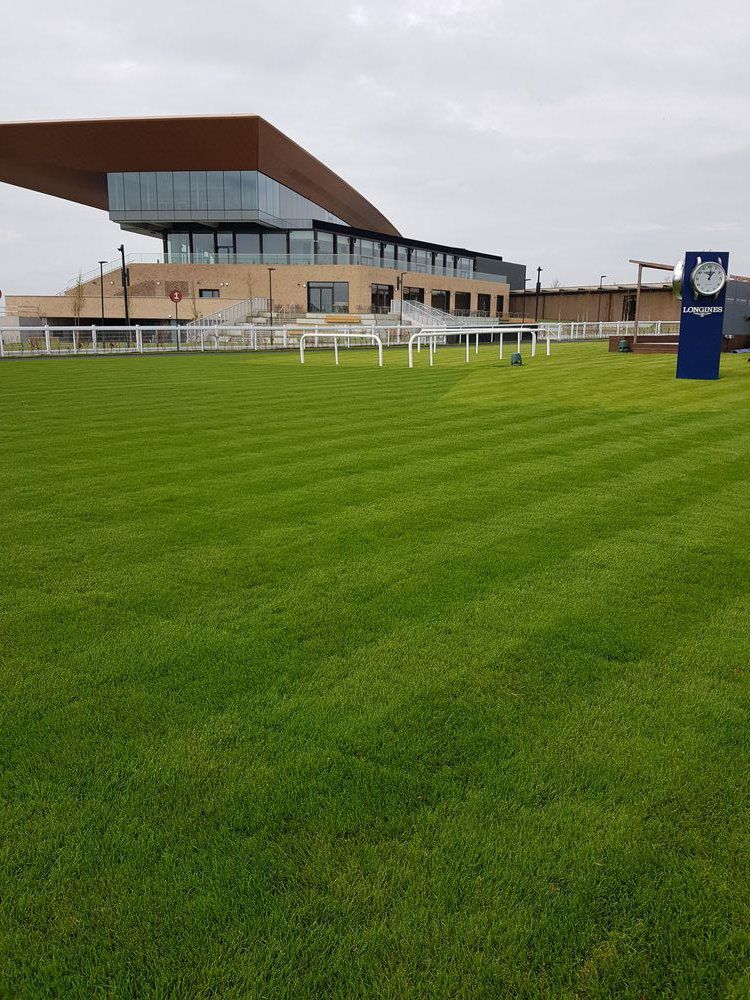 The grandstand viewed from the new parade ring which has been increased to accommodate 30 runners