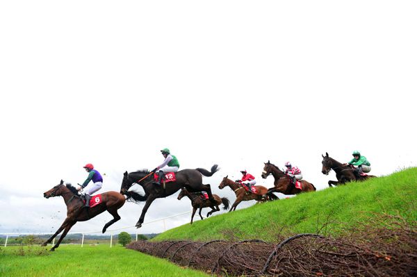                      Punchestown