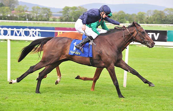 Blissful and Donnacha O Brien (near side) beat Tasalka 