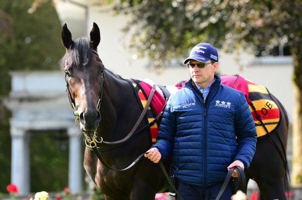 Aidan O'Brien pictured with Sir Dragonet