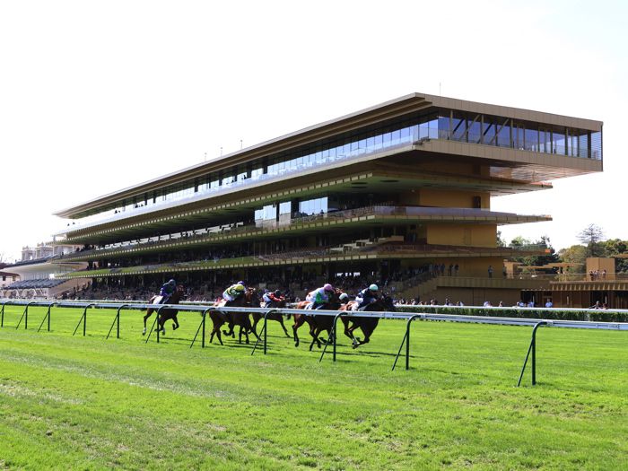 Parislongchamp racecourse outlet