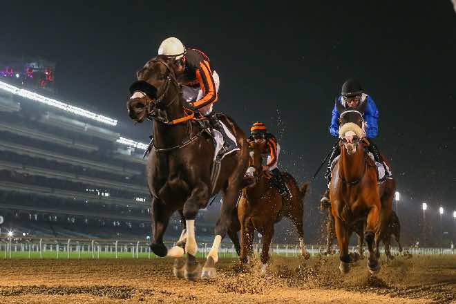 Meydan action