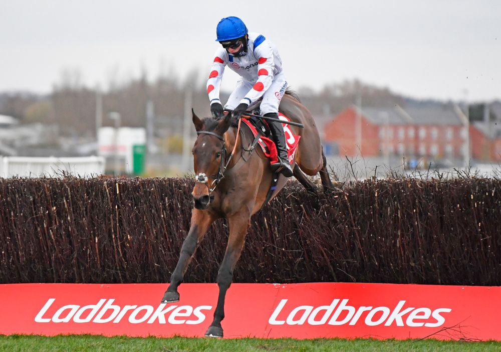 Il Ridoto (seen winning at Newbury)