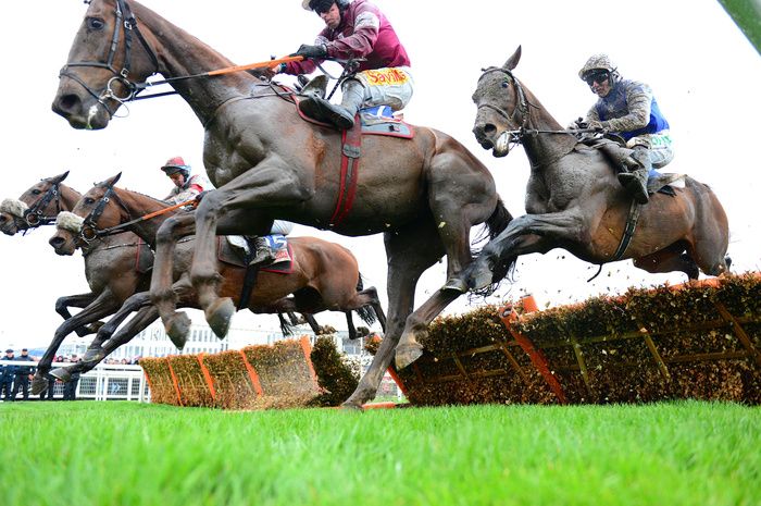 Cheltenham action