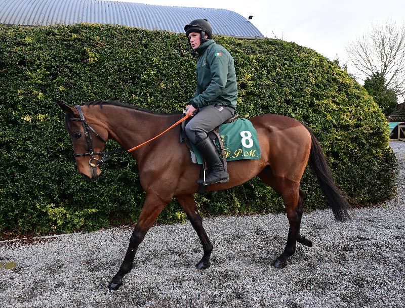 Closutton Stables 23 2 22 CHACUN POUR SOI Dermot Keeling pictured at Trainer WILLIE MULLINS Cheltenham Press Morning ahead of The 2022 Cheltenham Fest