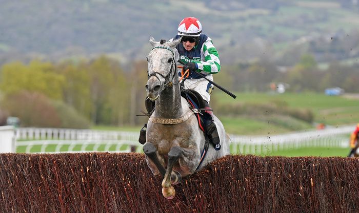 Stolen Silver winning at Cheltenham last year