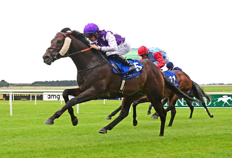 Go Bears Go set to return to the Curragh for Phoenix Sprint Stakes 