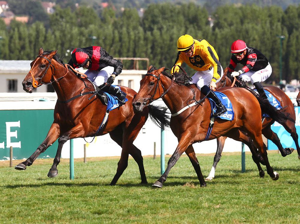 Aristia (left) beating Rosscarbery