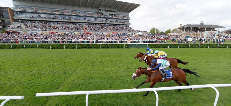 Coltrane winning last season's Doncaster Cup