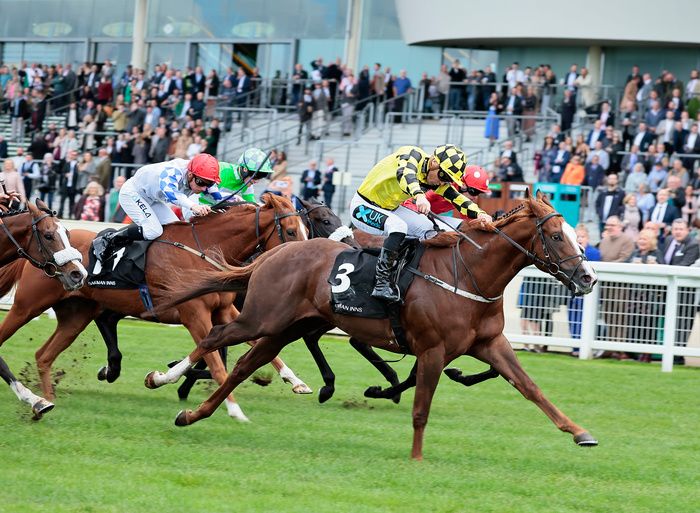 Manaccan and Stevie Donohoe win The Oakman Inns Rous Stakes Listed Race Ascot Healy Racing