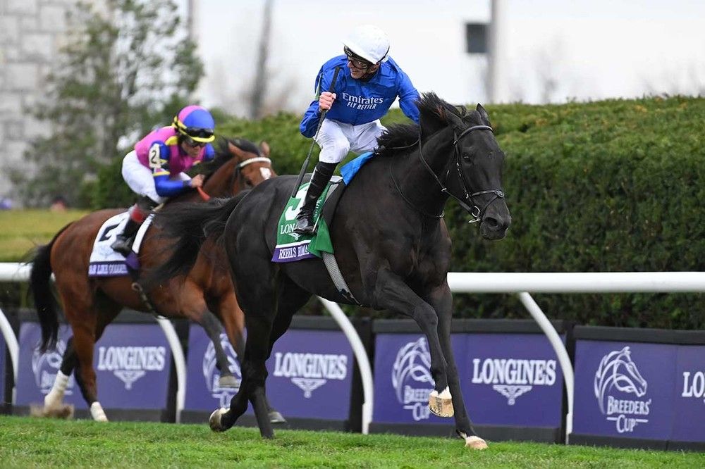 irishracing News Appleby continues Breeders Cup Romance