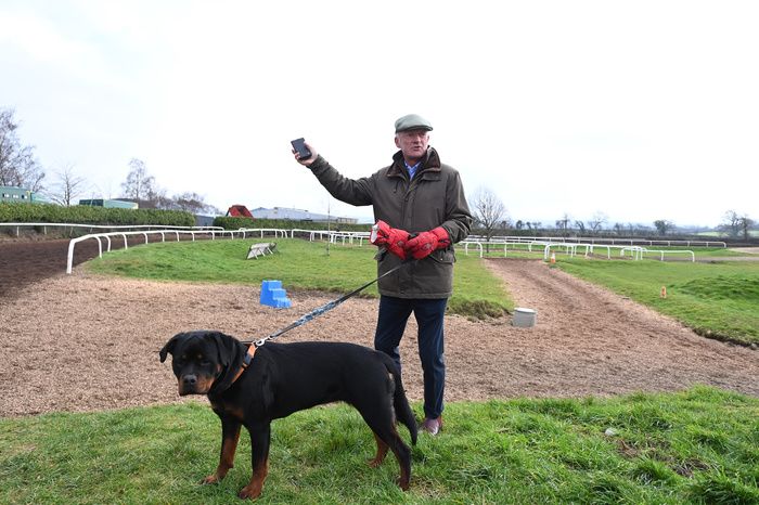 Willie Mullins and his dog Hattie