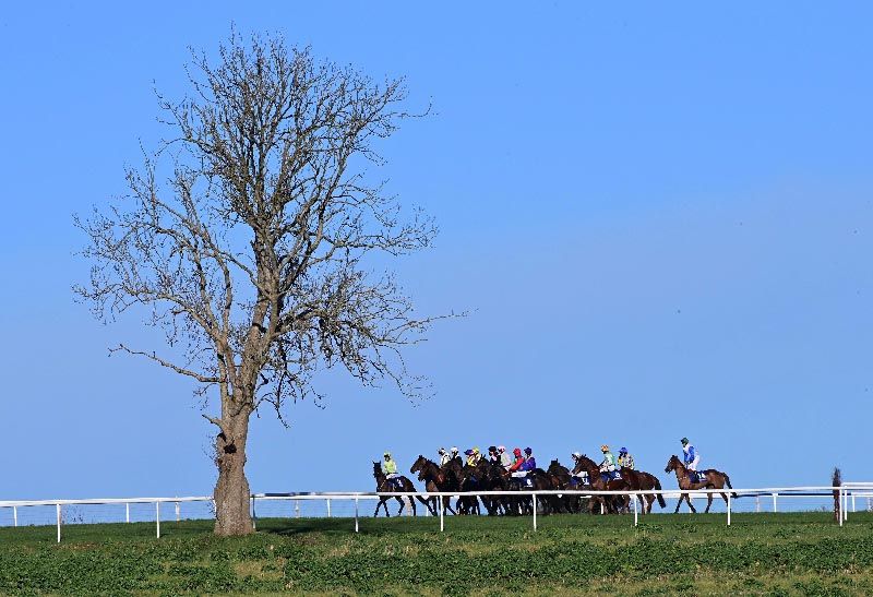 Clonmel Racecourse