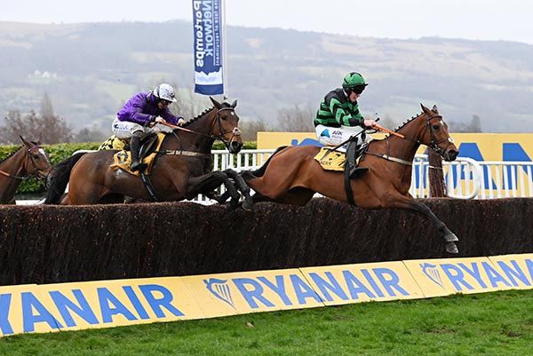 Seddon (Ben Harvey) winning at Cheltenham last year