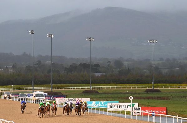 Dundalk stage an afternoon card due off at 1.15. 