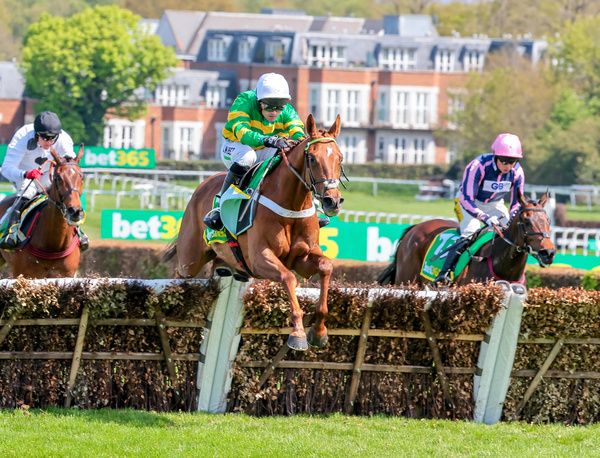 Under Control will bid to win the Galway Hurdle for Nicky Henderson 