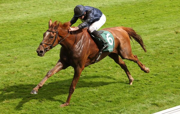 Savethelastdance and Ryan Moore winning The Weatherbys Digital Solutions Cheshire Oaks Chester 10 5 23Healy Racing