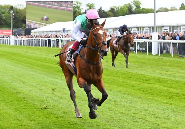 Arrest and Frankie Dettori win The Boodles Chester Vase Stakes Group 3 Chester 10th 05 2023Healy Racing