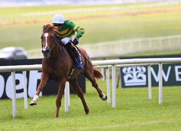 Curragh 27 5 23 Trustyourinstinct and Declan McDonogh win the Novibet Irish EBF Maiden Healy Racing 