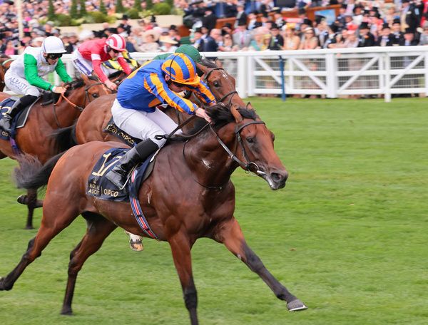 River Tiber and Ryan Moore winning the Coventry Stakes Group 2  at Royal Ascot last season. 