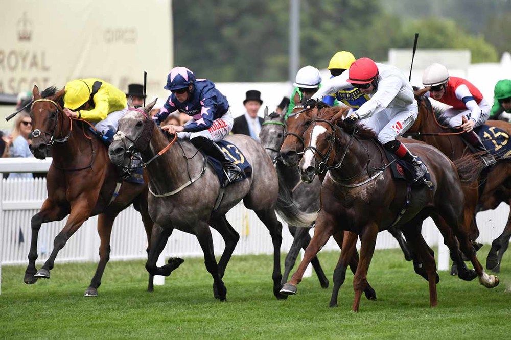 Villanova Queen (red cap) winning the Kensington Palace at Royal Ascot last year