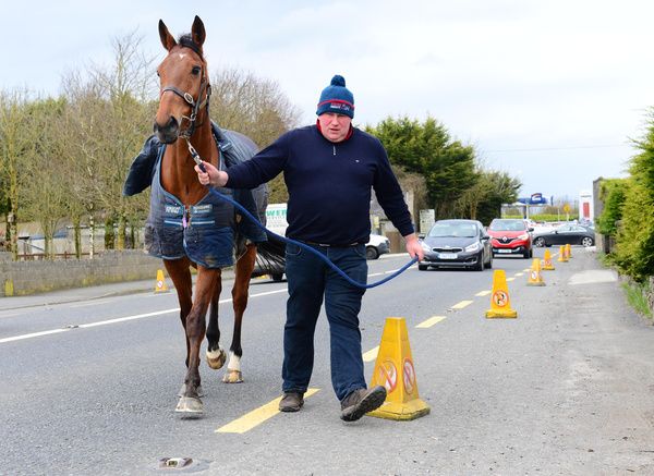 Bubba leading Jetz into Thurles Racecourse