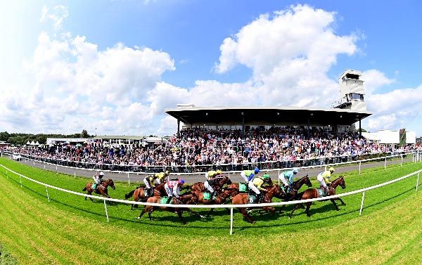 Downpatrick Racecourse