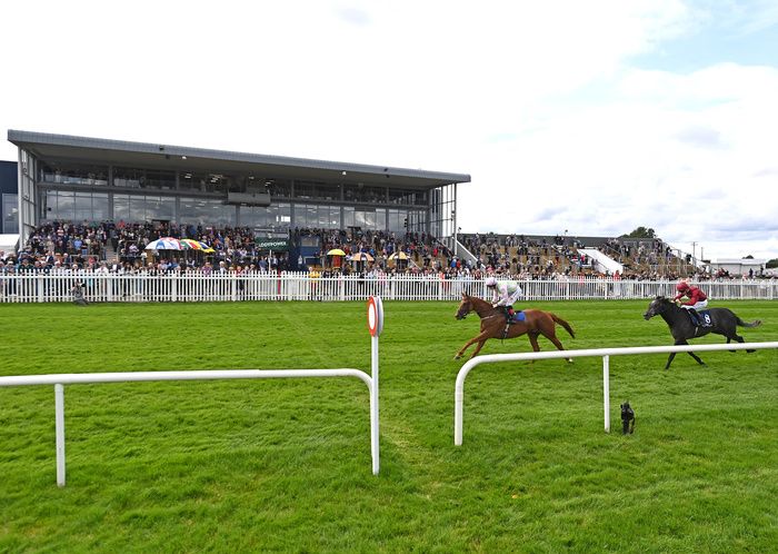 Naas Racecourse