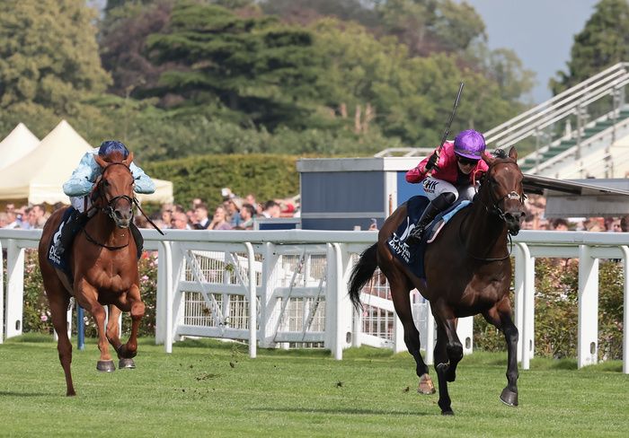 Dark Trooper winning at Ascot