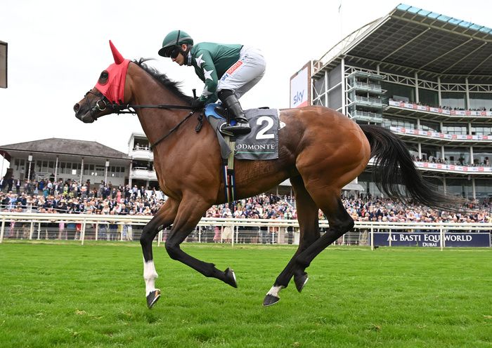 Nashwa and Hollie Doyle at York in August 