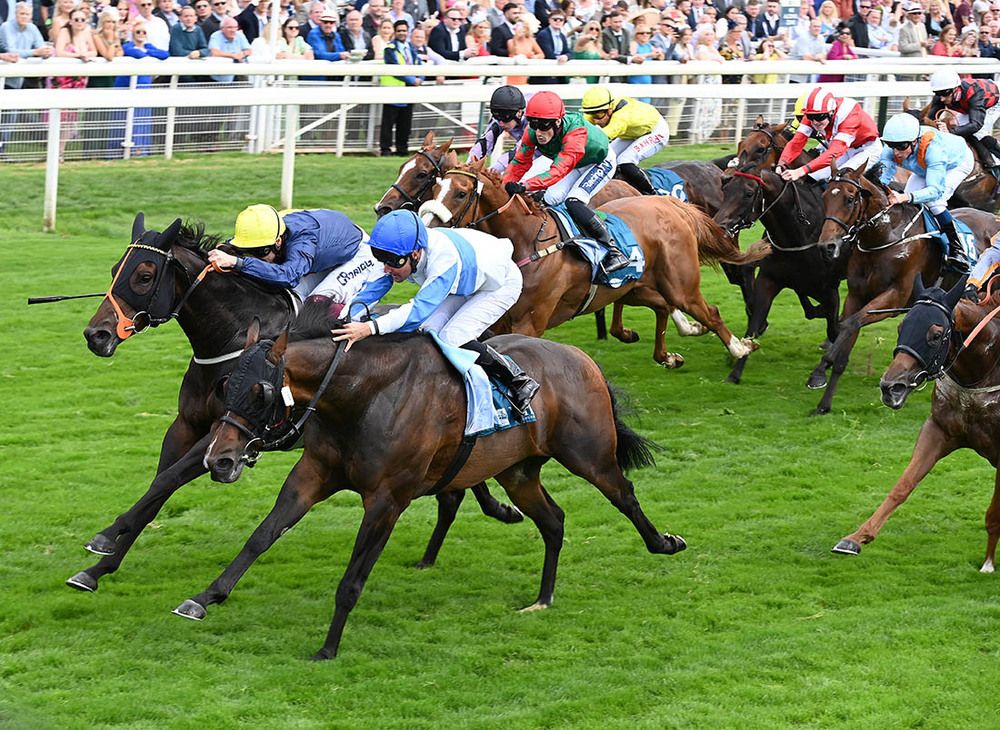 Point Lynas secured an overdue victory at York on Thursday. 
