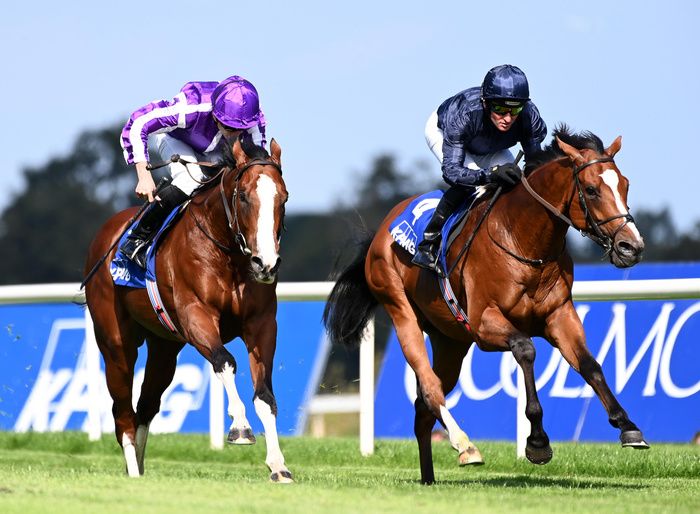 Diego Velazquez set to be the main Ballydoyle challenger in French Derby 