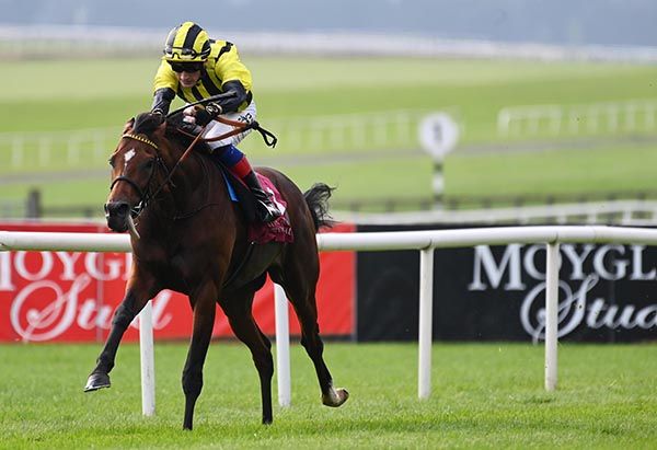 Eldar Eldarov winning the Irish St Leger at the Curragh in 2023