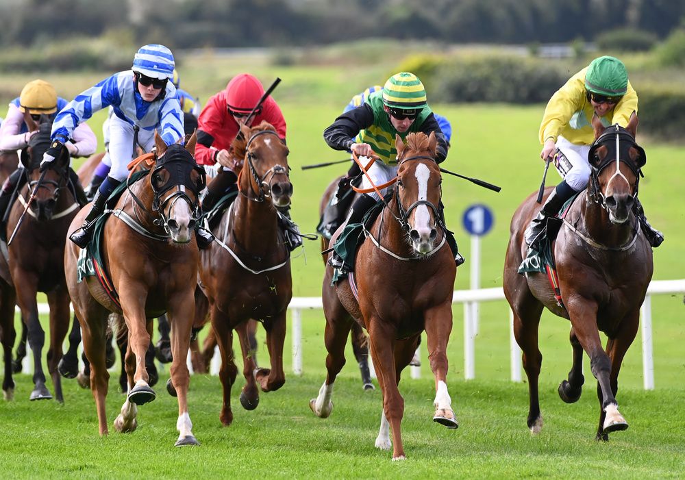 Rathbranchurch (centre) winning at Navan recently