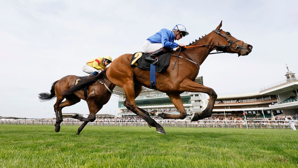 Vera Verto and Rob Hornby at Newmarket