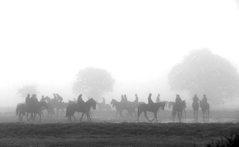 Horses preparing to galop on a foggy morning at Willie Mullins' Closutton stables.