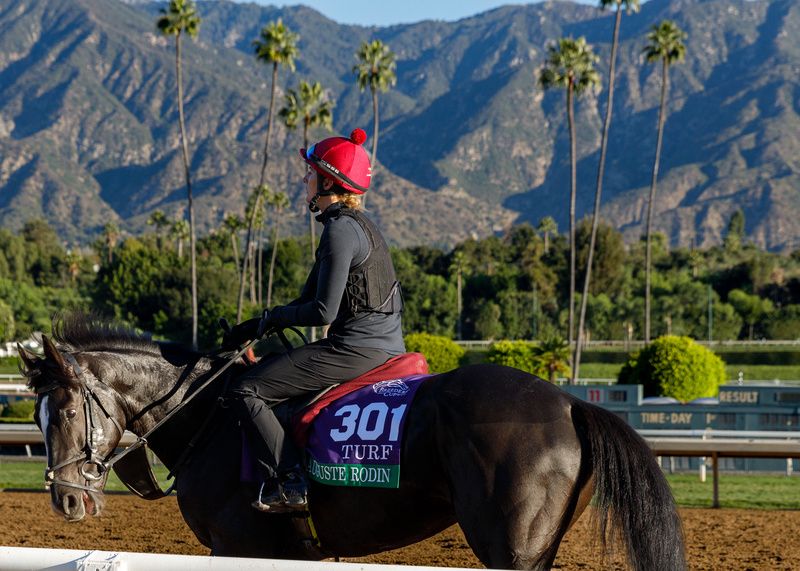 Santa Anita Breeders Cup 1 November 2023  Auguste Rodin 