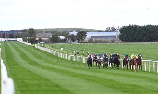 Naas Racecourse