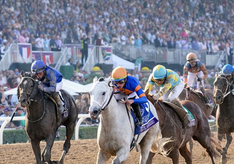 White Abarrio winning the Breeders' Cup Classic last year