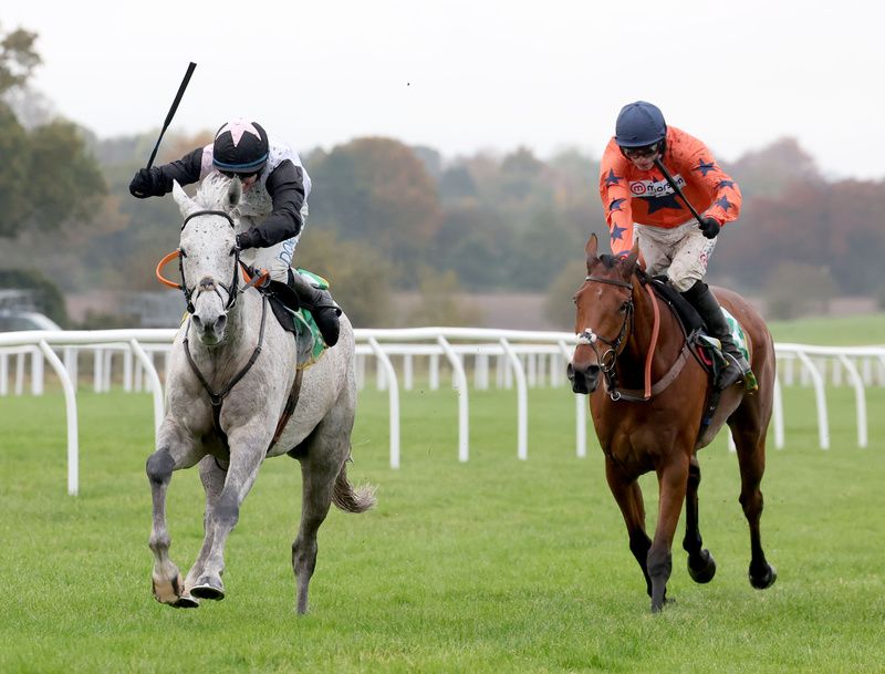 Gentlemansgame (left) beating Bravemansgame at Wetherby