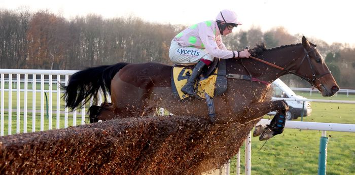 Royal Pagaille bids to add another Betfair Chase win to his record 