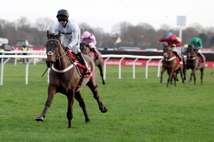 Constitution Hill and Nico de Boinville winning the Ladbrokes Christmas Hurdle