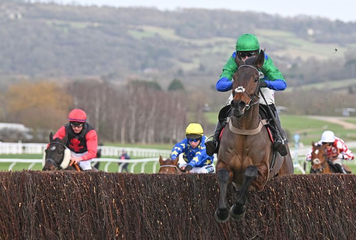 Theatre Man (red & white check) finishing behind Ginny's Destiny at Cheltenham January