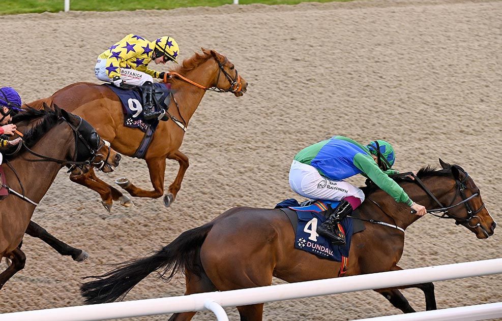 Neddies Boy (nearest) with runner-up Hinemoa (far side)