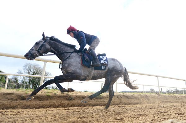 Cullentra Stables 2024 Fil Dor and Lisa O Neill during morning exercise 