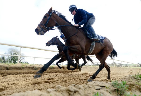 Jalon D'oudaires and Harry Swan during morning exercise at Gordon Elliott's yard 